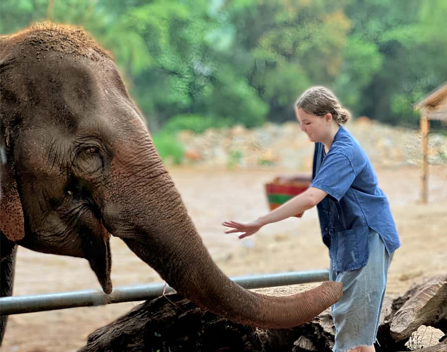Chiang Mai : Highlight in one day - Key points worth knowing before you go