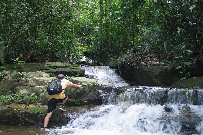 Chiang mai Hike & Downhill Bike Adventure –Suthep National Park - The fitness reality check: why this day feels intense