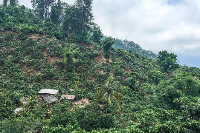 Chiang mai Hike & Downhill Bike Adventure –Suthep National Park - Stop 4: Doi Suthep-Pui National Park downhill riding with adrenaline