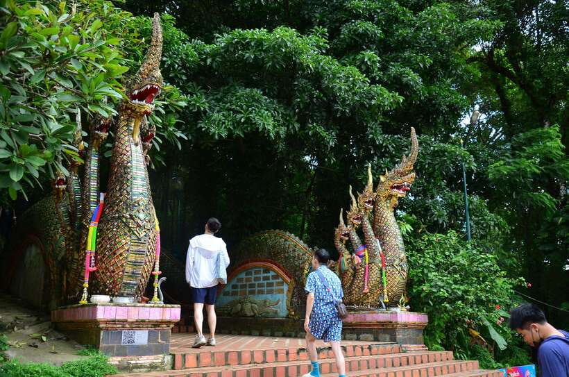 Chiang Mai: Hike on Monk’s Trail and Doi Suthep Private Tour - Golden-hour Monk’s Trail: a forest walk with big Chiang Mai views
