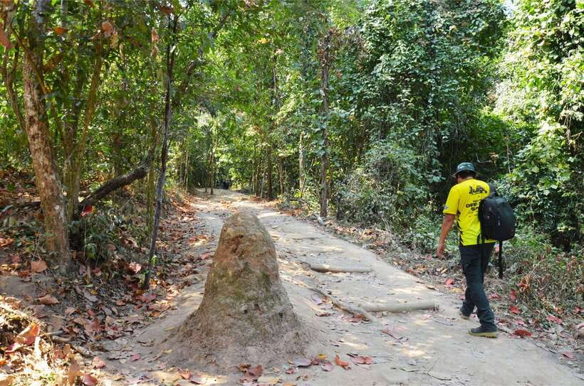 Chiang Mai: Hike on Monk’s Trail and Doi Suthep Private Tour - The private tour experience: guides set the tone