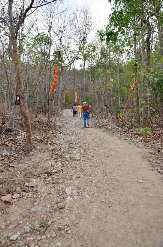 Chiang Mai: Hike on Monk’s Trail and Doi Suthep Private Tour - Who should go (and who should skip it)