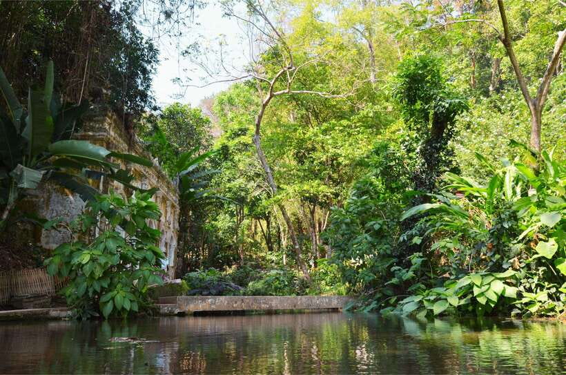 Chiang Mai: Hike on Monk’s Trail and Doi Suthep Private Tour - FAQ