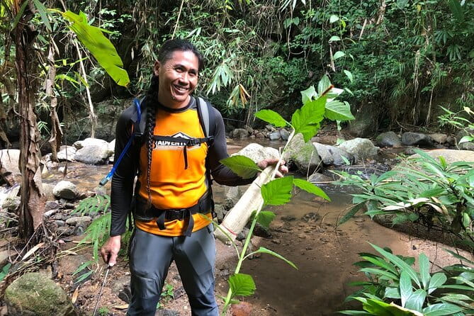 Chiang Mai: Inthanon, Elephant Sanctuary Observation & Waterfall - What’s included (and how to think about the price)