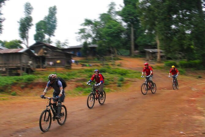 Chiang Mai: Inthanon, Elephant Sanctuary Observation & Waterfall - Transportation and comfort: the “windy road” factor