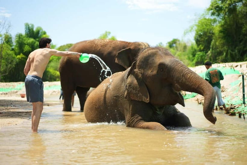 Chiang Mai: Jungle Jumbo Elephant Sanctuary with Waterfall - Key Things to Know Before You Go