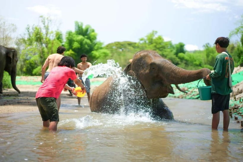 Chiang Mai: Jungle Jumbo Elephant Sanctuary with Waterfall - Jungle Waterfall Walk: Beautiful, Wet, and Not Fully Under Your Control