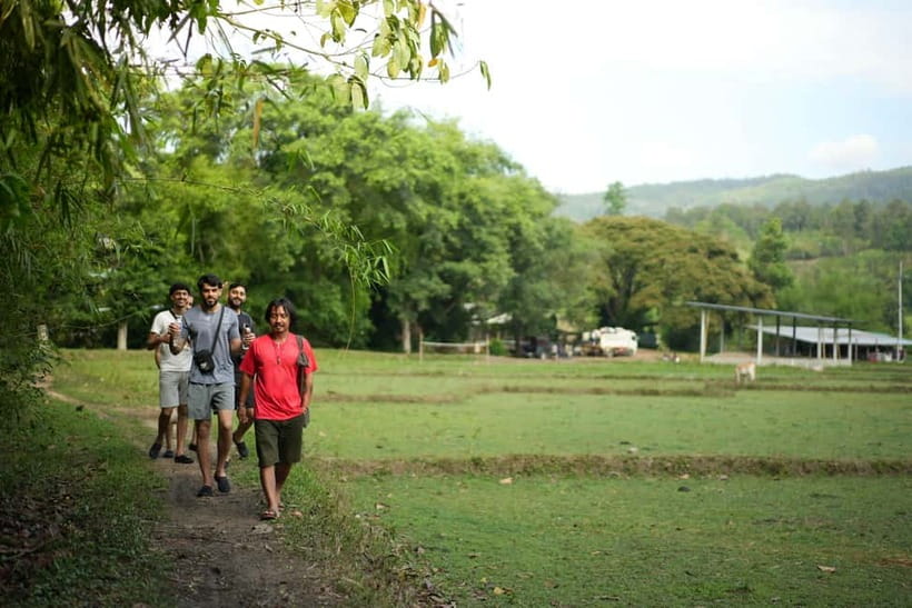 Chiang Mai: Jungle Jumbo Elephant Sanctuary with Waterfall - Transfers and Getting There: The Part That Can Make or Break Your Morning