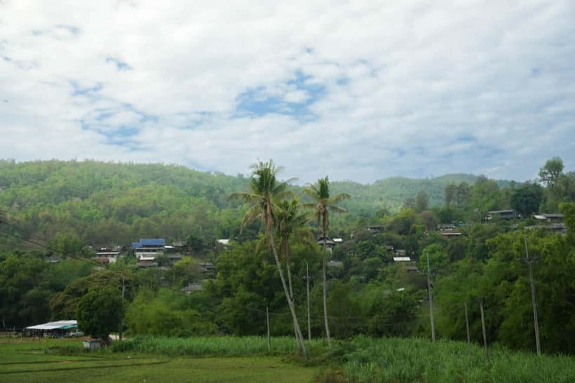 Chiang Mai: Jungle Jumbo Elephant Sanctuary with Waterfall - Who This Tour Fits Best (And Who Should Skip It)