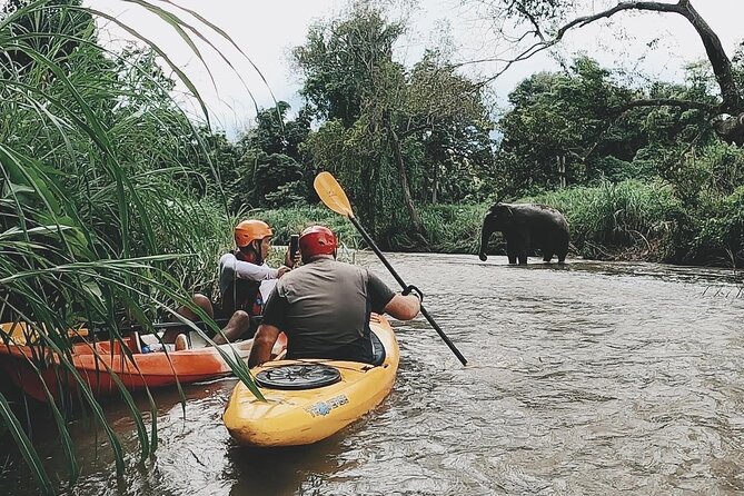 Chiang Mai: Jungle Kayak Adventure with Rapids & Elephants - Key Points at a Glance (Mae Wang Kayaking Essentials)