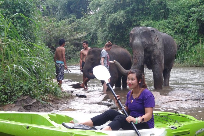 Chiang Mai: Jungle Kayak Adventure with Rapids & Elephants - Lunch by the River: Fuel Without Killing the Mood