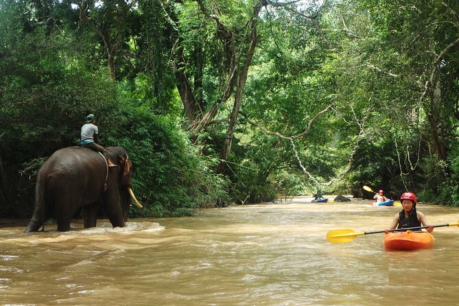 Chiang Mai: Jungle Kayak Adventure with Rapids & Elephants - Who This Tour Fits Best