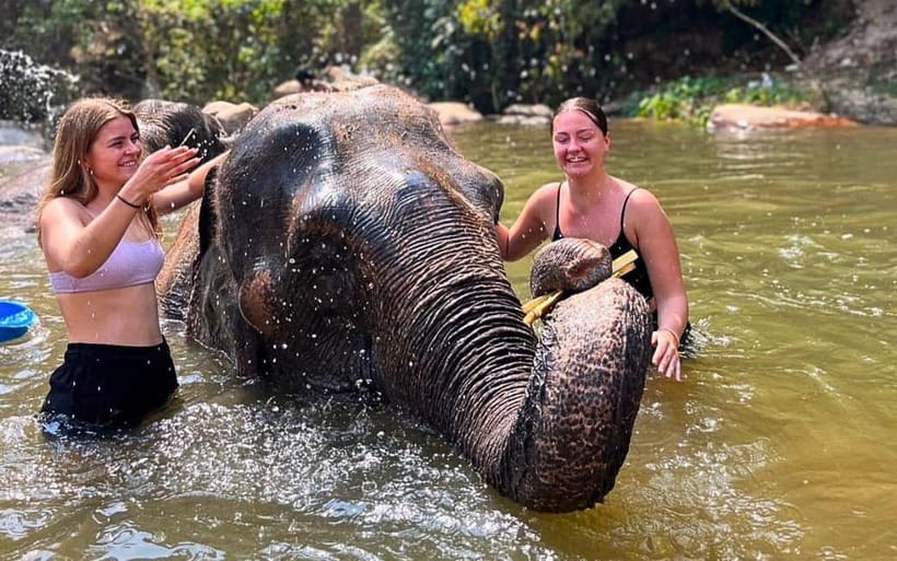 Chiang Mai: Jungle Trek, Elephants care & Bamboo Rafting - Key things you’ll notice on this day trip