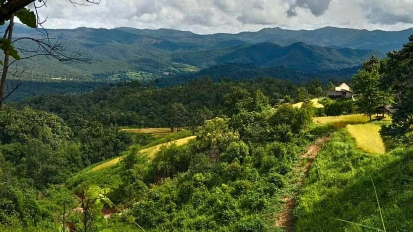 Chiang Mai: Jungle Trek, Elephants care & Bamboo Rafting - A realistic “day flow” (and where delays happen)