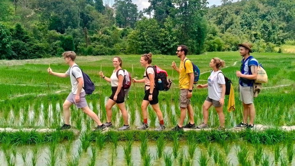 Chiang Mai: Jungle Trek, Elephants care & Bamboo Rafting - Bamboo rafting on the jungle river: calm fun, weather-dependent