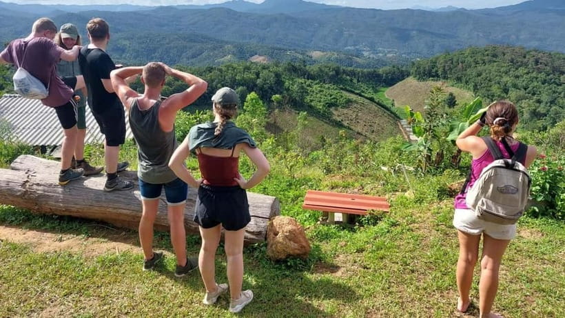 Chiang Mai: Jungle Trek, Elephants care & Bamboo Rafting - The jungle trek (2–5 hours): what the walk actually feels like