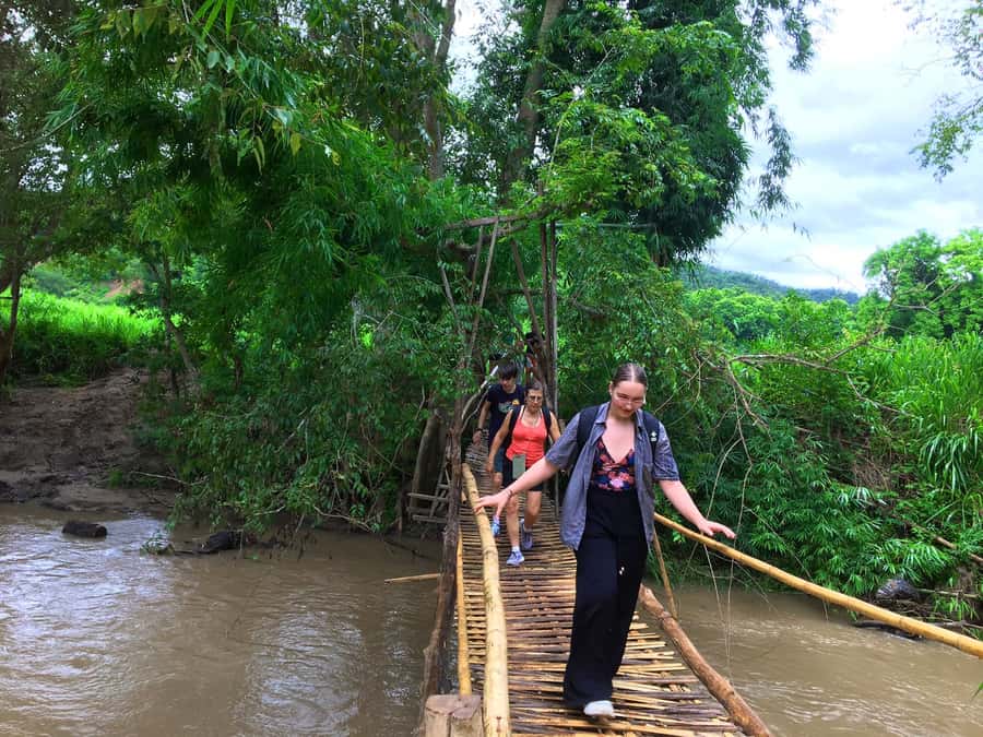 Chiang Mai: Karen Tribe & Dual Waterfalls - Private Day Trek - Hiking through paddies to forest: where the trail surprises you