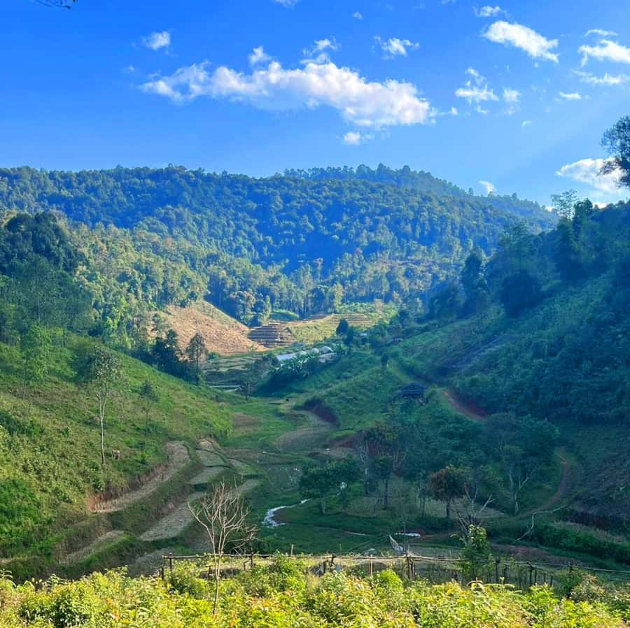 Chiang Mai: Karen Tribe & Dual Waterfalls - Private Day Trek - Jungle swing and waterfall breaks: fun, wet, and timing-dependent