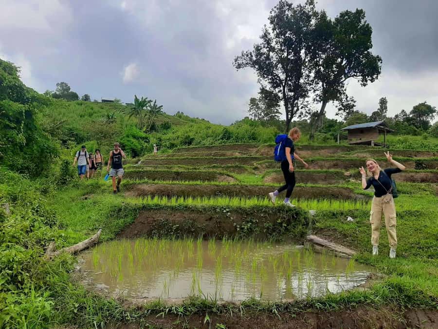 Chiang Mai: Karen Tribe & Dual Waterfalls - Private Day Trek - Mae Sapok bamboo rafting: the calmer half of the adventure