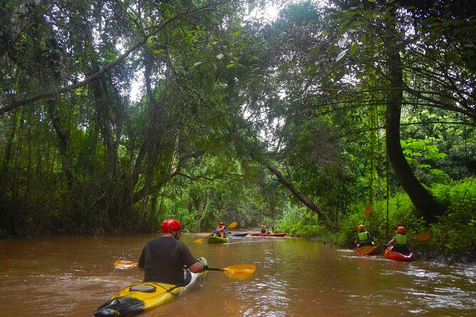 Chiang Mai : Kayak the Jungle Rivers of Chiang Dao Valley! - Morning Logistics: 8:30 Hotel Pickup to Pro-Shop Briefing