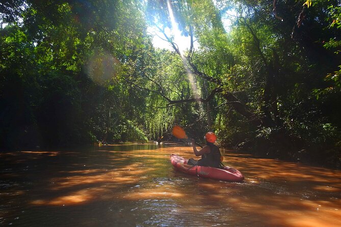 Chiang Mai : Kayak the Jungle Rivers of Chiang Dao Valley! - The Paddle Route: Creeks, Bamboo, and Flooded Forest Edges