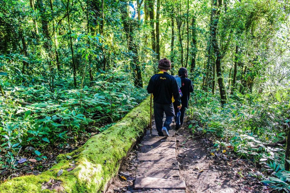 Chiang Mai: Kew Mae Pan Nature Trail & Doi Inthanon Day Trip - What to bring (and what not to bring) so you don’t get stuck