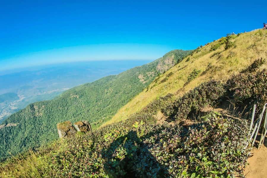 Chiang Mai: Kew Mae Pan Nature Trail & Doi Inthanon Day Trip - Kew Mae Pan Nature Trail: a guided two-hour walk with forest chances