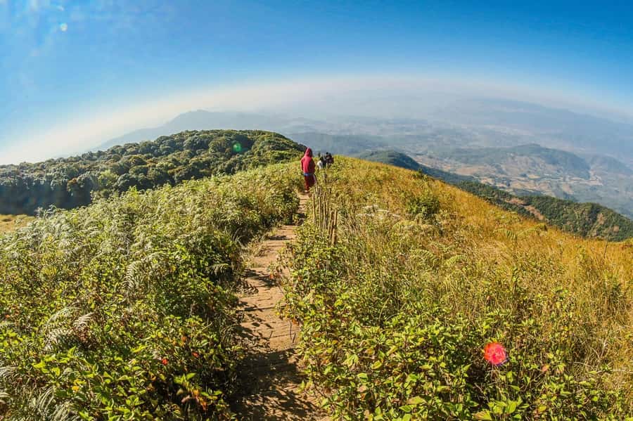 Chiang Mai: Kew Mae Pan Nature Trail & Doi Inthanon Day Trip - Morning drive to Doi Inthanon: the Roof of Thailand, minus the fuss