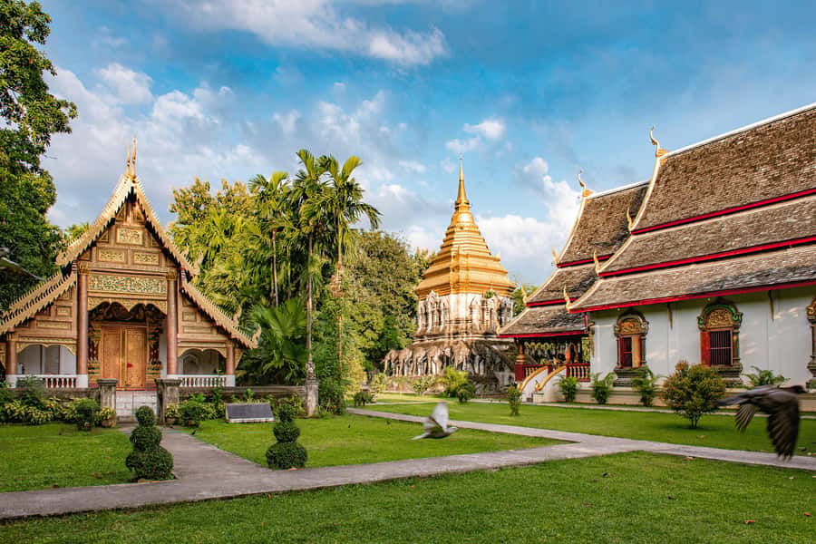 Chiang Mai Light: Tuk Tuk Night Tour with Temples & Markets - Who this tour suits best (and who should skip it)