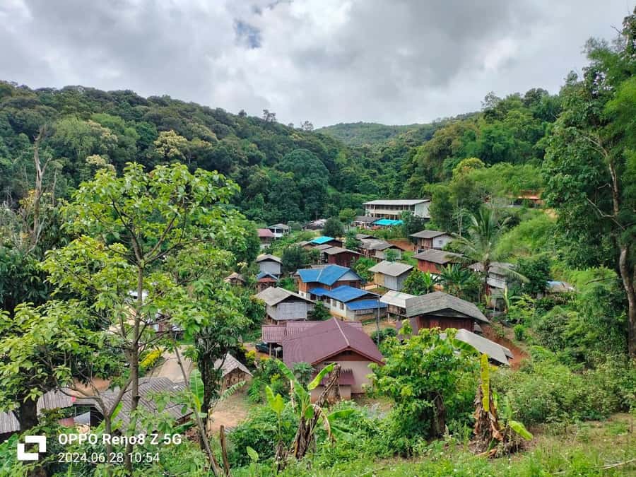 Chiang Mai: Mae Ya Waterfall & Pha Dok Siew Trail Trek - Key Highlights You’ll Feel Immediately