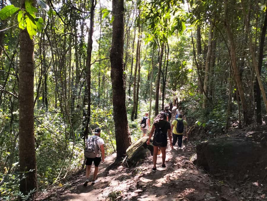 Chiang Mai: Mae Ya Waterfall & Pha Dok Siew Trail Trek - Waterfalls, Forest Trails, and Coffee in One Long Day