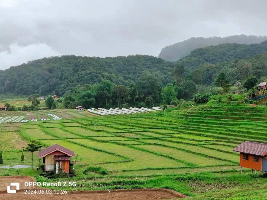 Chiang Mai: Mae Ya Waterfall & Pha Dok Siew Trail Trek - Guide Energy: What Makes the Day Feel Easy (Not Just Scheduled)
