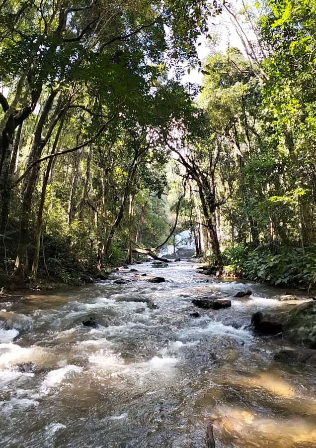 Chiang Mai: Mae Ya Waterfall & Pha Dok Siew Trail Trek - Food and Coffee: Lunch That Doesn’t Feel Like a Refund Stop