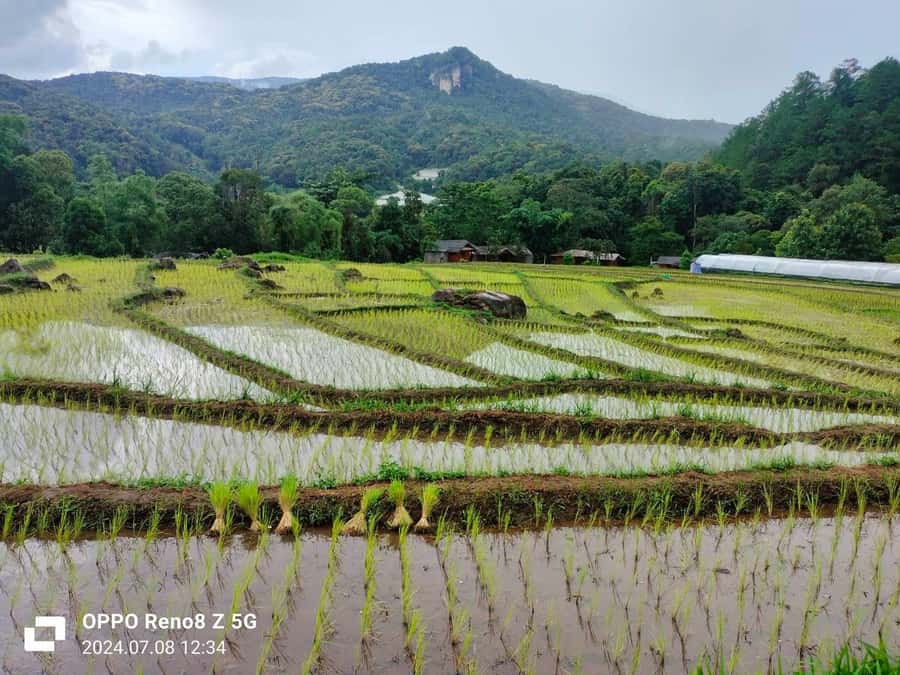 Chiang Mai: Mae Ya Waterfall & Pha Dok Siew Trail Trek - Wachiratharn Waterfall: A Strong Start After the Drive