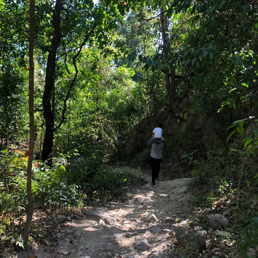 Chiang Mai Monk's Trail Wat Pha Lat & Visit Wat Doi Suthep - Wat Pha Lat: A Hidden Temple With Thai-Burmese Style Calm