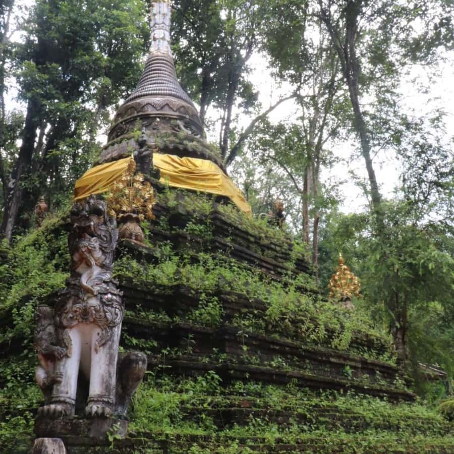 Chiang Mai Monk's Trail Wat Pha Lat & Visit Wat Doi Suthep - Your Guide Changes Everything: From Plants to Philosophy