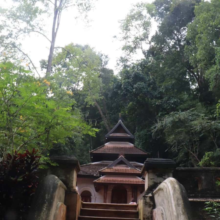 Chiang Mai Monk's Trail Wat Pha Lat & Visit Wat Doi Suthep - What to Bring (and What Might Surprise You)