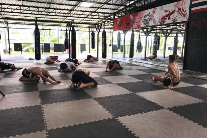 Chiang Mai: Muay Thai Boxing Experience - What You Learn in a Thai Boxing Lesson (No Guesswork)