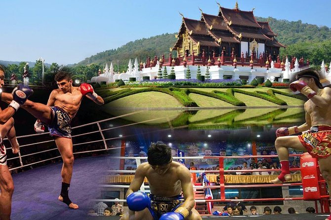 Chiang Mai Muay Thai Boxing Live at Thapae Stadium - Thapae Stadium fight night: what you’re actually buying