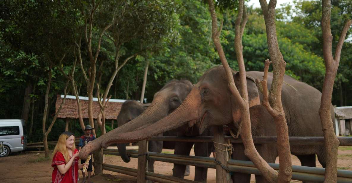 Chiang Mai: National Elephant Care, Rafting, & Ziplines Trip - Key things that make this trip worth your time