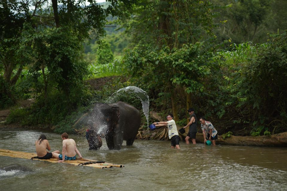 Chiang Mai: National Elephant Care, Rafting, & Ziplines Trip - From Chiang Mai Pickup to Mae Wang: a smooth 6-hour rhythm