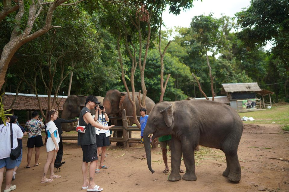 Chiang Mai: National Elephant Care, Rafting, & Ziplines Trip - Herbal vitamin balls: the hands-on elephant moment you’ll remember