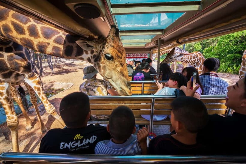 Chiang Mai Night Safari Ticket & Tram Rides Optional Pickup - Key points to know before you go