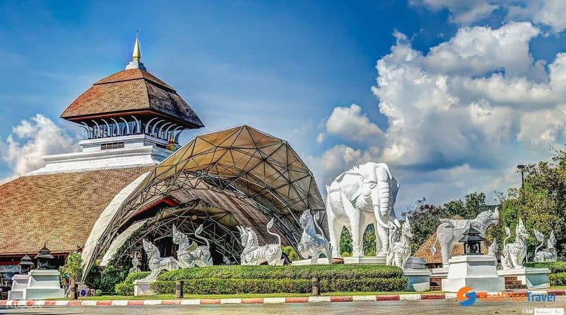 Chiang Mai Night Safari Ticket & Tram Rides Optional Pickup - Should You Book Chiang Mai Night Safari With Tram Rides?