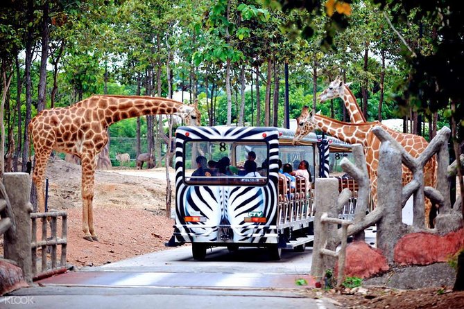 Chiang Mai Night Safari Tour including Transfer (Minimum 2 pax) - Price and Logistics: What $79.08 Really Covers