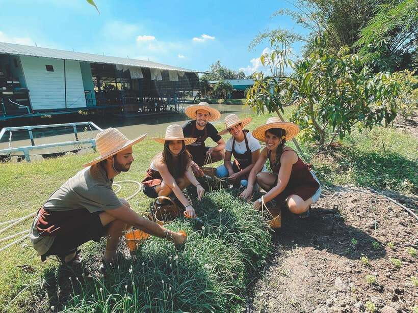 Chiang Mai Organic Thai Cooking Experience - Small group feel: why the coaching matters more than you think