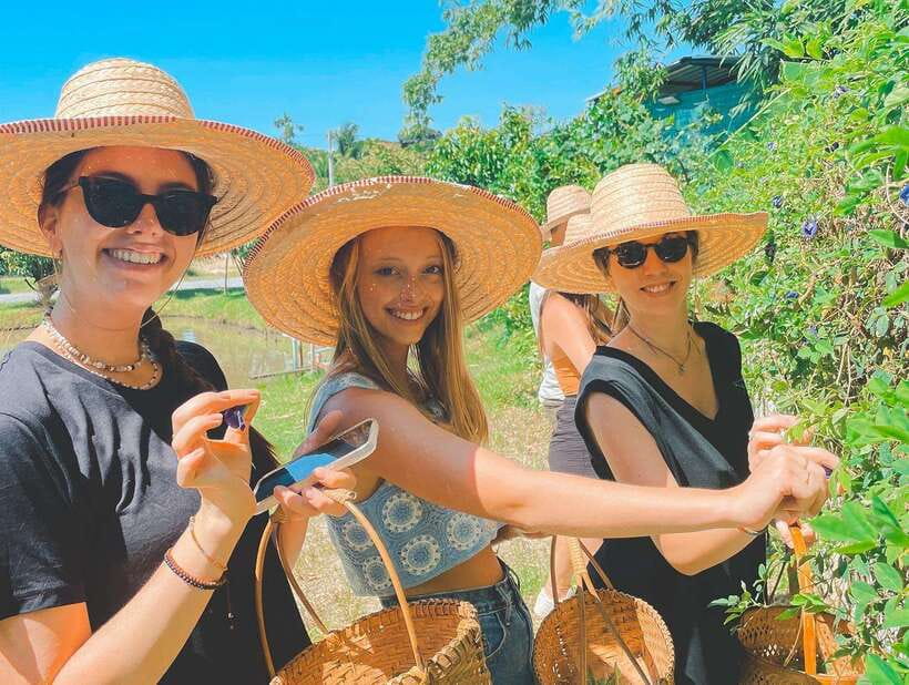 Chiang Mai Organic Thai Cooking Experience - How the hotel pickup works in Chiang Mai (without the stress)
