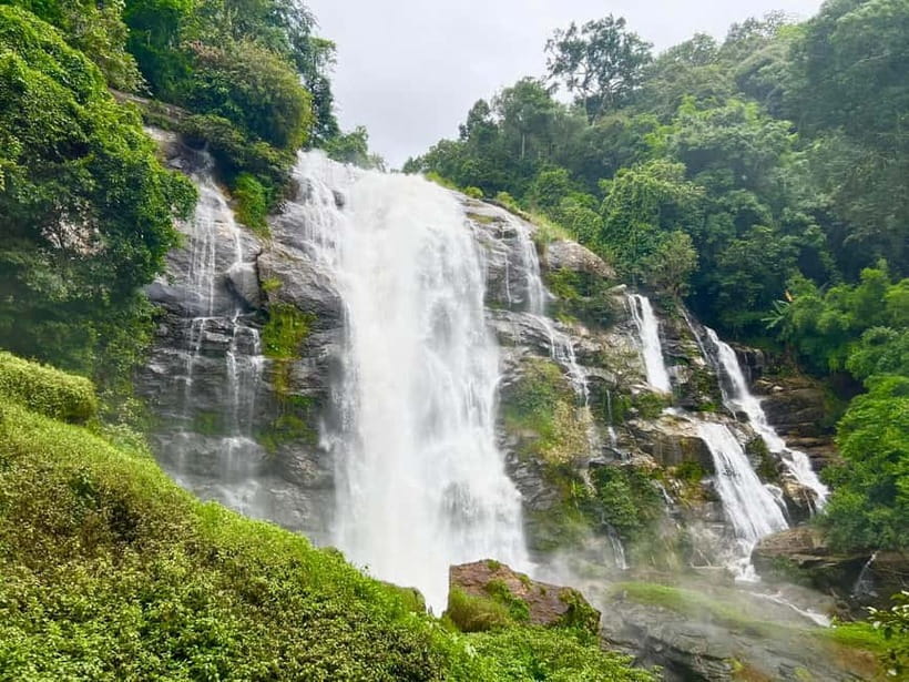 Chiang Mai : Pa Bong Piang Rice Terraces & Doi Inthanon - Who this tour suits best (and who should rethink it)