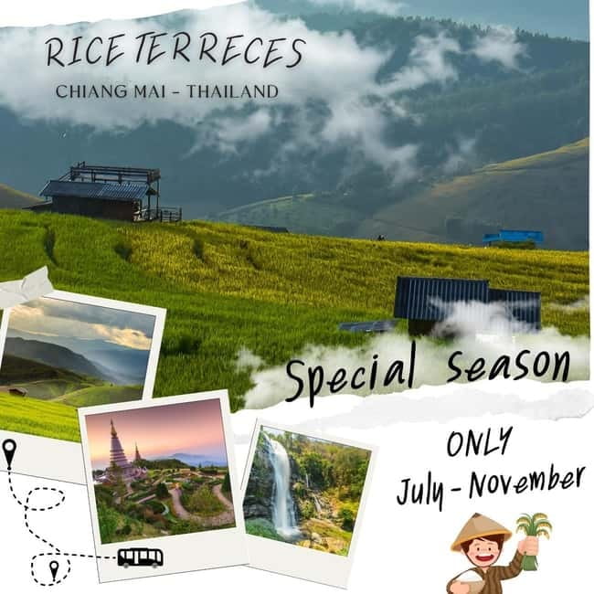 Chiang Mai : Pa Bong Piang Rice Terraces & Doi Inthanon - Ang Ka Nature Trail boardwalk: cloud forest time, with fewer crowds