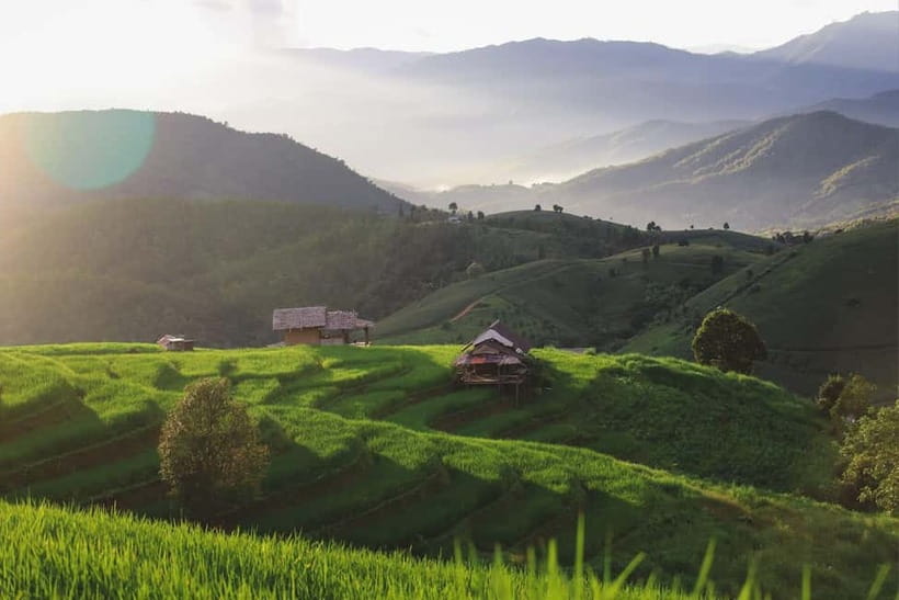 Chiang Mai : Pa Bong Piang Rice Terraces & Doi Inthanon - Phra That Mae Klang Luang and the twin pagodas for big mountain views